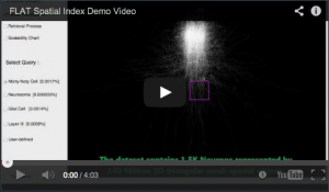 flat_demo_yt