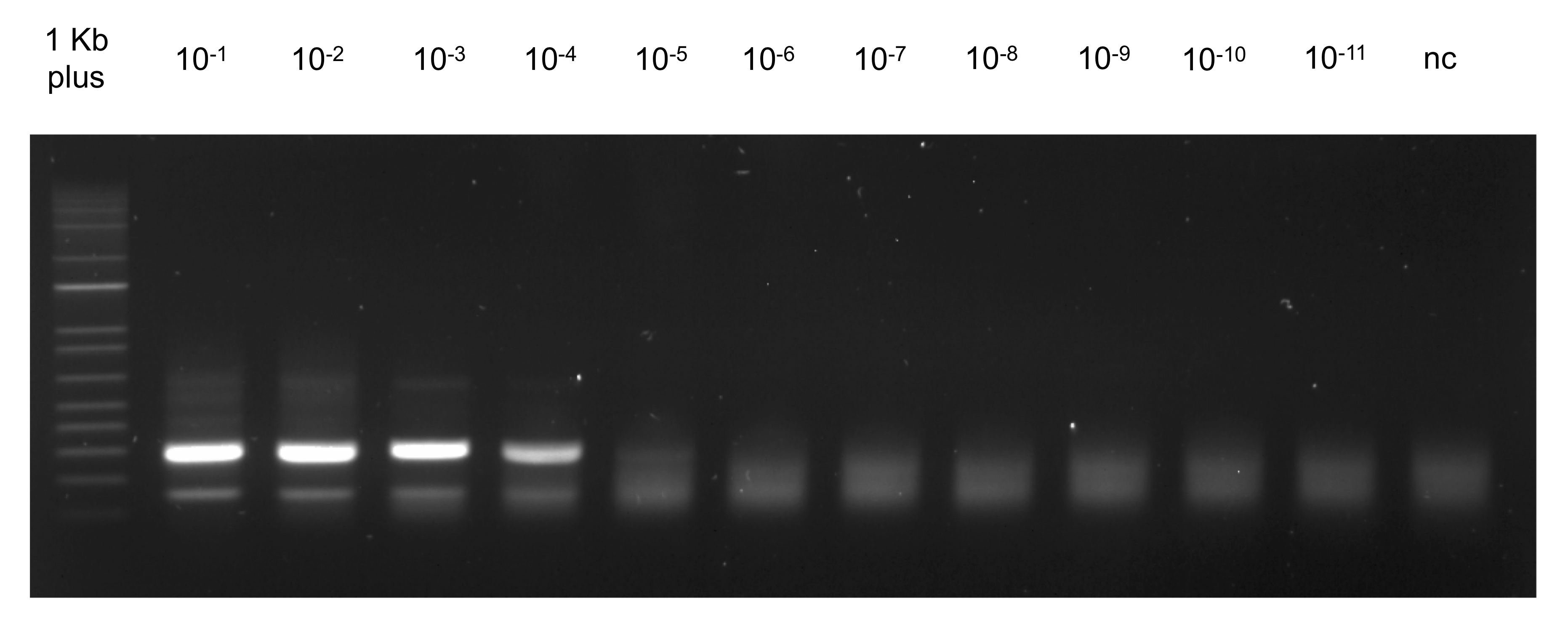 pcr_sensitivity